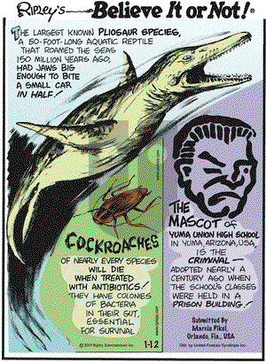 Ripley's Believe It or Not on Tuesday January 12, 2010 Comic Strip