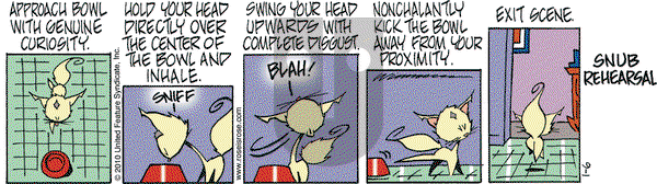 Rose is Rose on Wednesday January 6, 2010 Comic Strip