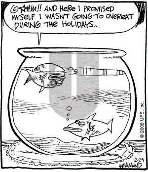 Reality Check on Monday December 29, 2008 Comic Strip