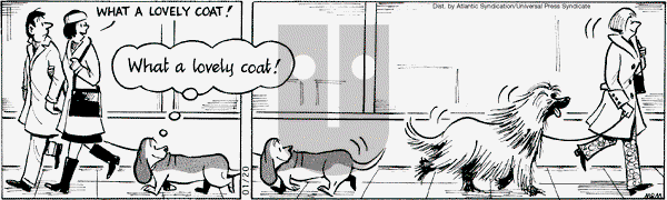 Fred Basset on Tuesday January 20, 2009 Comic Strip