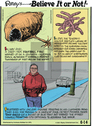 Ripley's Believe It or Not on Monday June 14, 2021 Comic Strip