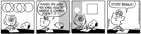 Peanuts on Friday November 30, 1979 Comic Strip