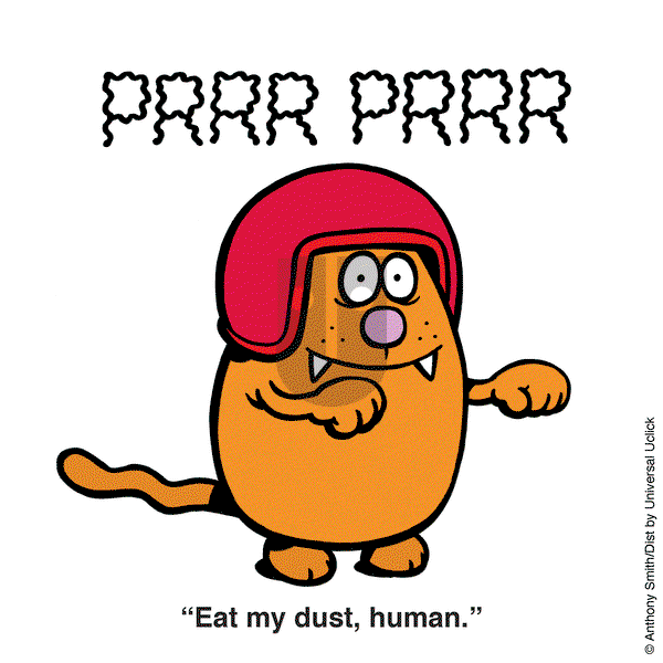 Learn to Speak Cat on Thursday March 20, 2025 Comic Strip