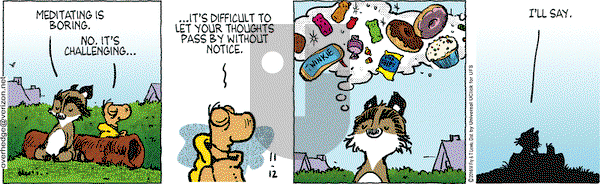 Over the Hedge on Saturday November 12, 2016 Comic Strip