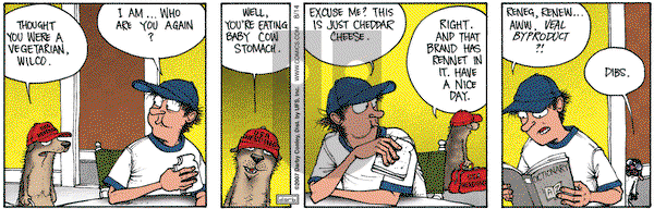 Get Fuzzy on Tuesday August 14, 2007 Comic Strip