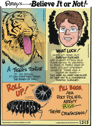 Ripley's Believe It or Not on Tuesday December 15, 2020 Comic Strip