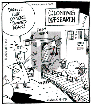 Reality Check on Tuesday June 6, 2000 Comic Strip