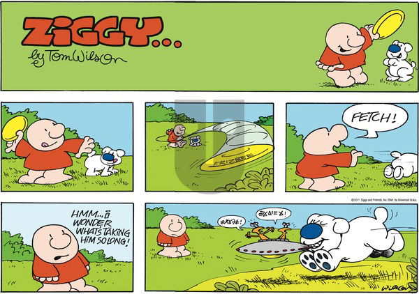 Ziggy on Sunday February 6, 2011 Comic Strip