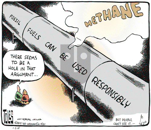 Tom Toles on Friday January 2, 2015 Comic Strip