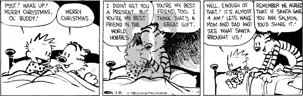 Calvin and Hobbes - Tuesday December 25, 1990 Comic Strip