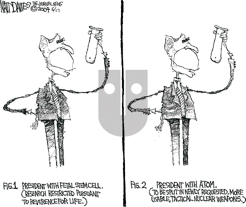Matt Davies on Thursday August 5, 2004 Comic Strip