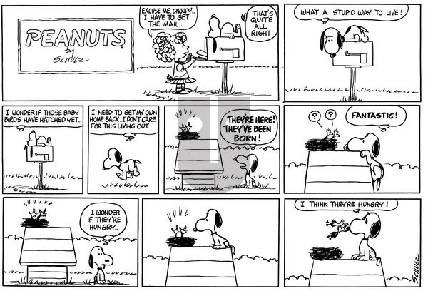 Peanuts on Sunday May 23, 1965 Comic Strip