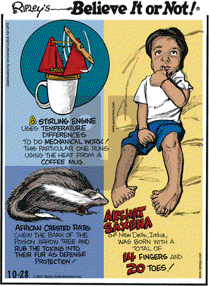 Ripley's Believe It or Not - Friday October 28, 2011 Comic Strip