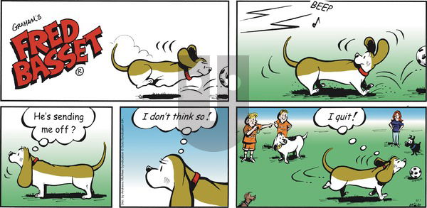 Fred Basset on Sunday August 11, 2019 Comic Strip