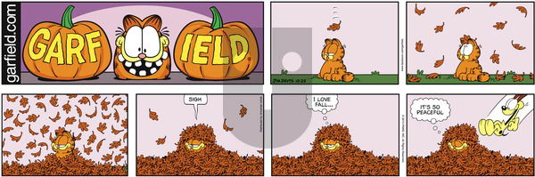 Garfield on Sunday October 25, 2015 Comic Strip