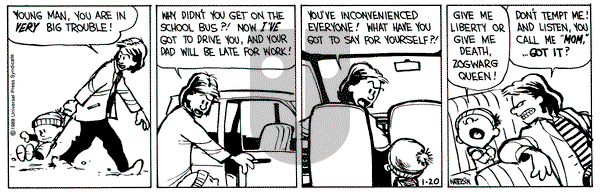 Calvin and Hobbes on Friday January 20, 1989 Comic Strip