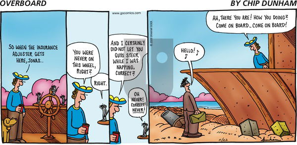 Overboard on Sunday November 22, 2009 Comic Strip
