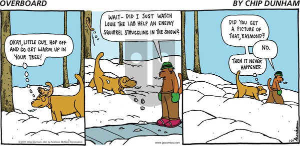 Overboard on Sunday January 29, 2017 Comic Strip