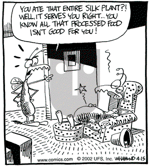 Reality Check on Friday September 27, 2002 Comic Strip