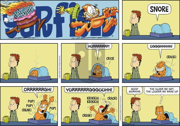 Garfield on Sunday June 21, 2020 Comic Strip