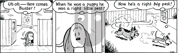 Fred Basset on Thursday October 2, 2003 Comic Strip