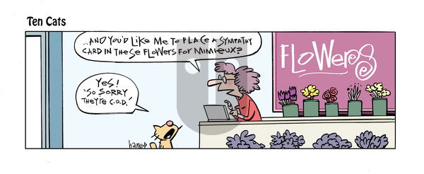 Ten Cats - Friday May 17, 2024 Comic Strip