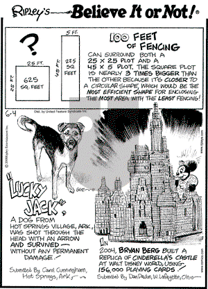 Ripley's Believe It or Not on Wednesday June 4, 2008 Comic Strip