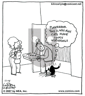 Kit 'N' Carlyle on Thursday November 15, 2007 Comic Strip