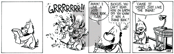 Buckles on Tuesday July 15, 2025 Comic Strip