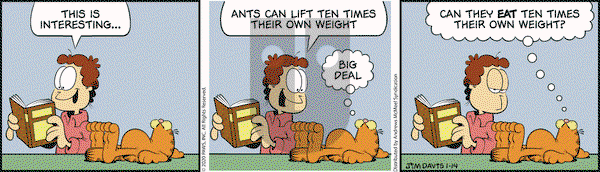 Garfield on Tuesday January 14, 2020 Comic Strip