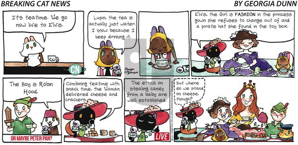 Breaking Cat News on Sunday May 10, 2020 Comic Strip