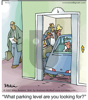 Cornered - Monday November 22, 2021 Comic Strip