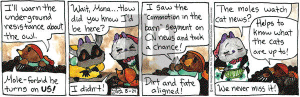 Breaking Cat News - Thursday August 24, 2023 Comic Strip