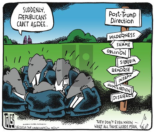 Tom Toles on Sunday July 26, 2020 Comic Strip