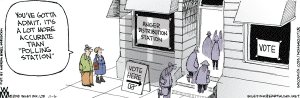 Non Sequitur on Tuesday November 6, 2018 Comic Strip
