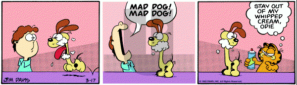 Garfield on Wednesday March 17, 1982 Comic Strip