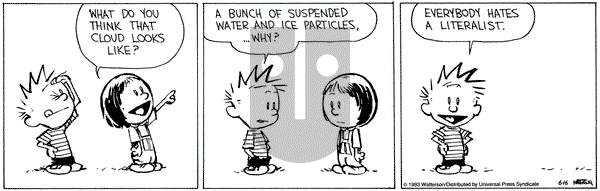 Calvin and Hobbes on Wednesday June 16, 1993 Comic Strip