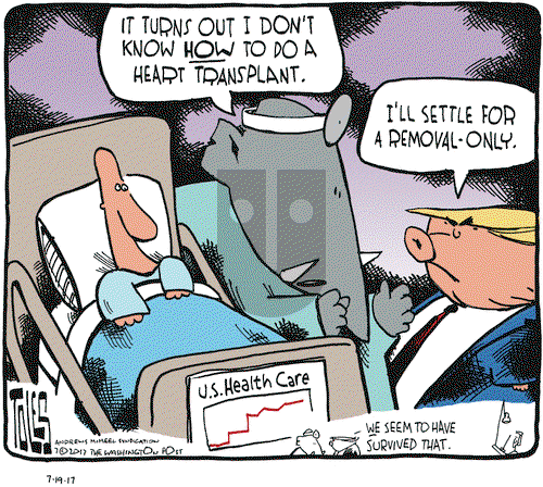 Tom Toles on Wednesday July 19, 2017 Comic Strip