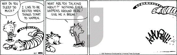 Calvin and Hobbes - Wednesday August 5, 1992 Comic Strip
