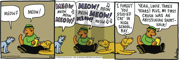 Overboard on Tuesday May 20, 2025 Comic Strip