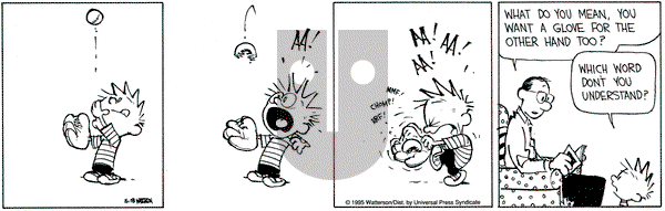Calvin and Hobbes on Thursday May 18, 1995 Comic Strip