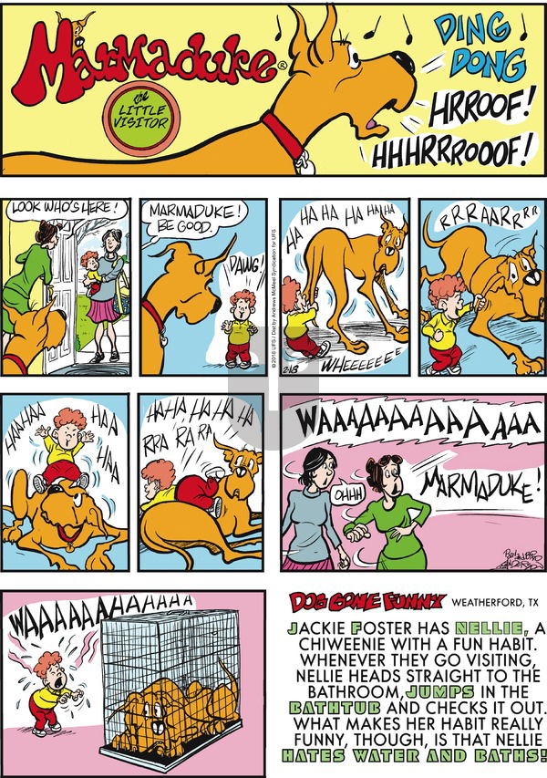 Marmaduke on Sunday February 18, 2018 Comic Strip