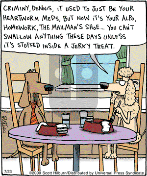The Argyle Sweater on Thursday July 23, 2009 Comic Strip