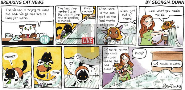 Breaking Cat News on Sunday September 3, 2017 Comic Strip