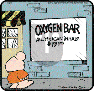 Ziggy on Tuesday November 20, 2012 Comic Strip