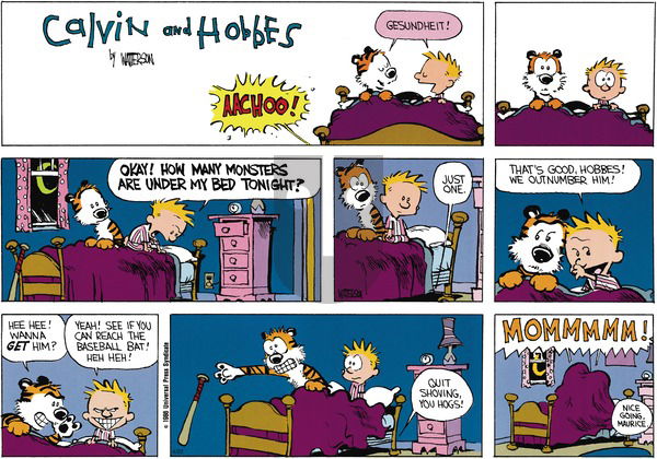 Calvin and Hobbes on Sunday June 9, 1991 Comic Strip