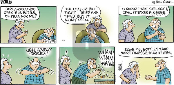 Pickles - Sunday August 25, 2024 Comic Strip