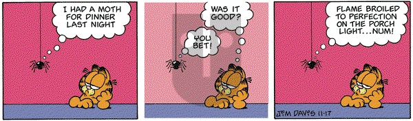 Garfield on Friday November 17, 2000 Comic Strip