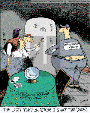 The Flying McCoys on Saturday October 4, 2008 Comic Strip