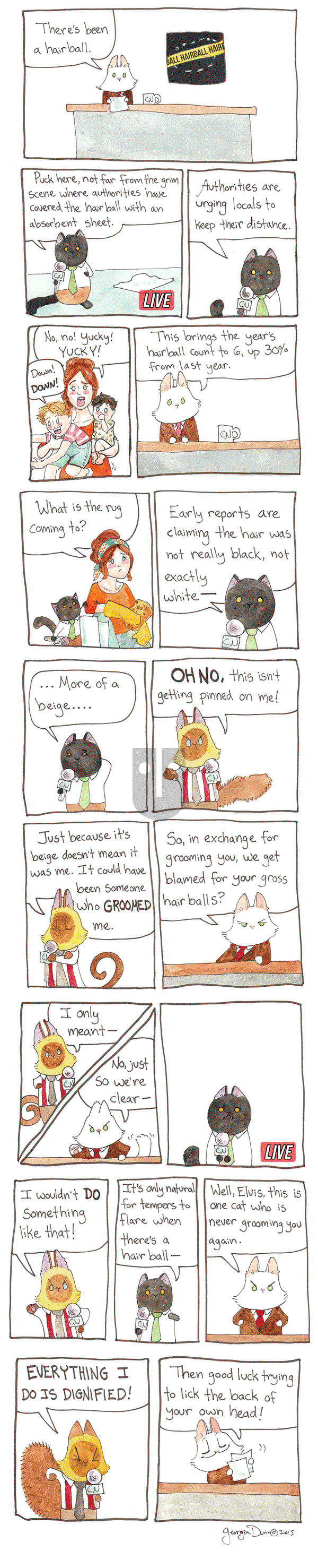 Breaking Cat News on Saturday January 7, 2017 Comic Strip
